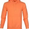 Hoodies Colorful Standard Hoodie Neon Oranje