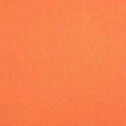 Hoodies Colorful Standard Hoodie Neon Oranje 8 Hoodies Colorful Standard Hoodie Neon Oranje -Truien & Vesten Verkoop winkel 62630 3