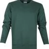 Sweaters Colorful Standard Sweater Organic Groen
