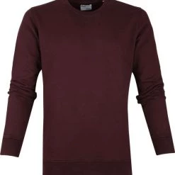 Sweaters Colorful Standard Sweater Organic Bordeaux 11 Sweaters Colorful Standard Sweater Organic Bordeaux -Truien & Vesten Verkoop winkel 64219 1 1