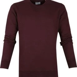 Sweaters Colorful Standard Sweater Organic Bordeaux
