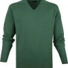 Wollen Truien Voor Heren William Lockie V-Hals Lamswol Groen