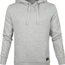 Hoodies Bjorn Borg Hoodie Lichtgrijs