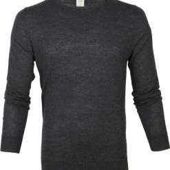 Truien Van Merino Wol Olymp Trui Lvl 5 Antraciet