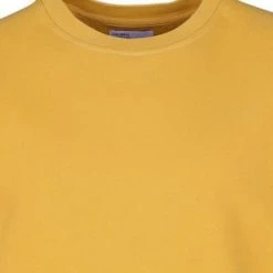 Sweaters Colorful Standard Sweater Geel 10 Sweaters Colorful Standard Sweater Geel -Truien & Vesten Verkoop winkel 70884 2 1