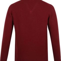 Lamswollen Truien Suitable Lamswol Trui V-Hals Bordeaux 9 Lamswollen Truien Suitable Lamswol Trui V-Hals Bordeaux -Truien & Vesten Verkoop winkel 71303 4