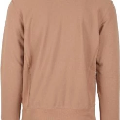 Sweaters Champion Crewneck Sweater Bruin 9 Sweaters Champion Crewneck Sweater Bruin -Truien & Vesten Verkoop winkel 72472 4