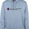 Hoodies Champion Hoodie Logo Blauw