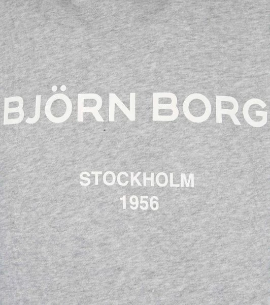 Hoodies Bjorn Borg Hoodie Grijs Logo 5 Hoodies Bjorn Borg Hoodie Grijs Logo - Afbeelding 5