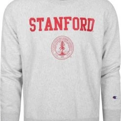 Sweaters Champion Sweater Logo Stanford Grijs 10 Sweaters Champion Sweater Logo Stanford Grijs -Truien & Vesten Verkoop winkel 73107 1 1