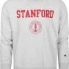 Sweaters Champion Sweater Logo Stanford Grijs