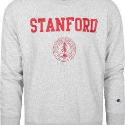 Sweaters Champion Sweater Logo Stanford Grijs