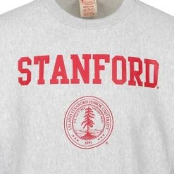 Sweaters Champion Sweater Logo Stanford Grijs 11 Sweaters Champion Sweater Logo Stanford Grijs -Truien & Vesten Verkoop winkel 73107 2 1