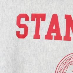 Sweaters Champion Sweater Logo Stanford Grijs 8 Sweaters Champion Sweater Logo Stanford Grijs -Truien & Vesten Verkoop winkel 73107 3