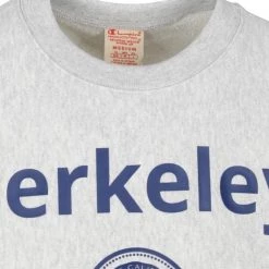 Sweaters Champion Sweater Logo Berkely Grijs 11 Sweaters Champion Sweater Logo Berkely Grijs -Truien & Vesten Verkoop winkel 73108 2 1