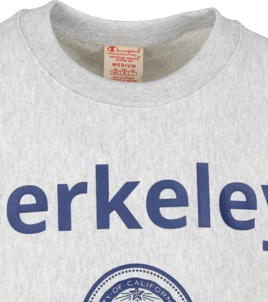 Sweaters Champion Sweater Logo Berkely Grijs 6 Sweaters Champion Sweater Logo Berkely Grijs - Afbeelding 6
