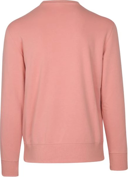 Sweaters Champion Sweater Script Logo Roze 4 Sweaters Champion Sweater Script Logo Roze - Afbeelding 4