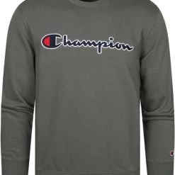 Sweaters Champion Sweater Script Logo Donkergroen 10 Sweaters Champion Sweater Script Logo Donkergroen -Truien & Vesten Verkoop winkel 73226 1 1