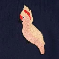 Sweaters Shiwi Trui Donkerblauw -Truien & Vesten Verkoop winkel 73240 3