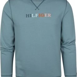 Sweaters Tommy Hilfiger Sweater Contrast Logo Lichtblauw