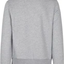 Sweaters ANTWRP Sweater Print Grijs -Truien & Vesten Verkoop winkel 74265 4