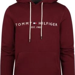 Hoodies Tommy Hilfiger Hoodie Bordeaux 10 Hoodies Tommy Hilfiger Hoodie Bordeaux -Truien & Vesten Verkoop winkel 74402 1 1