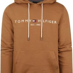 Hoodies Tommy Hilfiger Hoodie Bruin