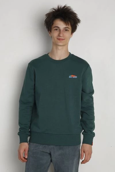 Sweaters ANTWRP Sweater Print Donkergroen 2 Sweaters ANTWRP Sweater Print Donkergroen - Afbeelding 2