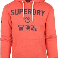 Hoodies Superdry Hoodie Logo Oranje Rood