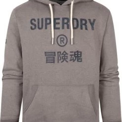 Hoodies Superdry Hoodie Logo Taupe -Truien & Vesten Verkoop winkel 74484 1 1