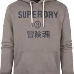 Hoodies Superdry Hoodie Logo Taupe