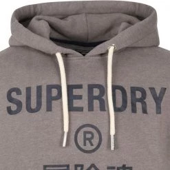 Hoodies Superdry Hoodie Logo Taupe -Truien & Vesten Verkoop winkel 74484 2 1