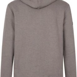 Hoodies Superdry Hoodie Logo Taupe -Truien & Vesten Verkoop winkel 74484 4