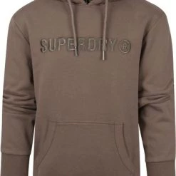 Hoodies Superdry Hoodie Logo Khaki