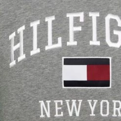 Sweaters Tommy Hilfiger Varsity Sweater Logo Grijs 8 Sweaters Tommy Hilfiger Varsity Sweater Logo Grijs -Truien & Vesten Verkoop winkel 74665 3