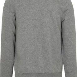 Sweaters Tommy Hilfiger Varsity Sweater Logo Grijs 9 Sweaters Tommy Hilfiger Varsity Sweater Logo Grijs -Truien & Vesten Verkoop winkel 74665 4