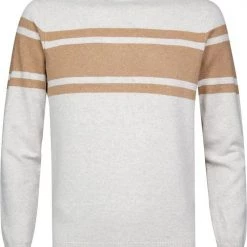 Wollen Truien Voor Heren Profuomo Pullover Wol Grijs