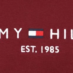Sweaters Tommy Hilfiger Sweater Logo Bordeaux -Truien & Vesten Verkoop winkel 74826 3
