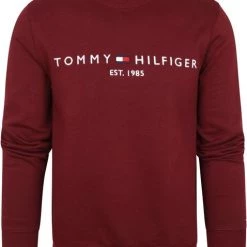 Sweaters Tommy Hilfiger Sweater Logo Bordeaux -Truien & Vesten Verkoop winkel 74826 4