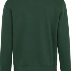 Sweaters Champion Sweater Script Logo Groen -Truien & Vesten Verkoop winkel 74874 3 1