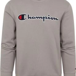 Sweaters Champion Sweater Script Logo Grijs