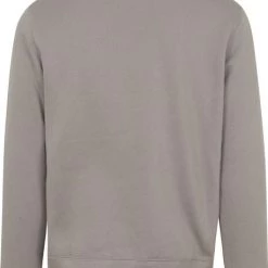 Sweaters Champion Sweater Script Logo Grijs -Truien & Vesten Verkoop winkel 74875 3 1