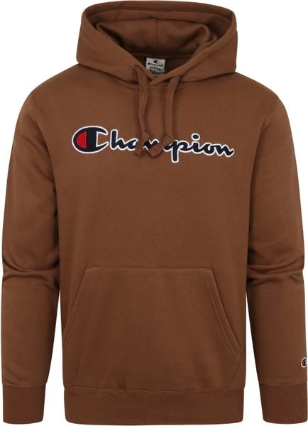 Hoodies Champion Hoodie Logo Bruin 1 Hoodies Champion Hoodie Logo Bruin