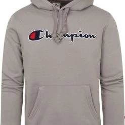 Hoodies Champion Hoodie Logo Grijs