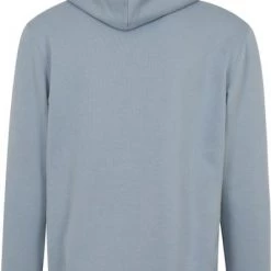 Hoodies Champion Hoodie College Logo Lichtblauw -Truien & Vesten Verkoop winkel 74883 3