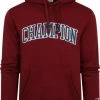 Hoodies Champion Hoodie Logo Bordeaux