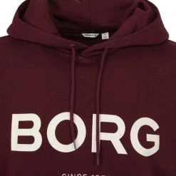 Sweaters Bjorn Borg Sweater Bordeaux Rood Logo 11 Sweaters Bjorn Borg Sweater Bordeaux Rood Logo -Truien & Vesten Verkoop winkel 75147 2 1