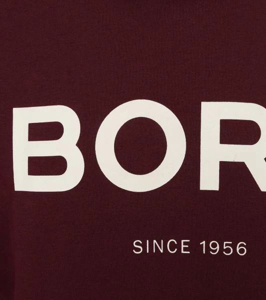 Sweaters Bjorn Borg Sweater Bordeaux Rood Logo 3 Sweaters Bjorn Borg Sweater Bordeaux Rood Logo - Afbeelding 3