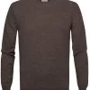 Truien Van Merino Wol Profuomo Pullover Merinowol Taupe