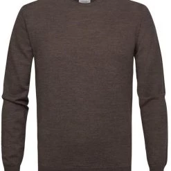 Truien Van Merino Wol Profuomo Pullover Merinowol Taupe